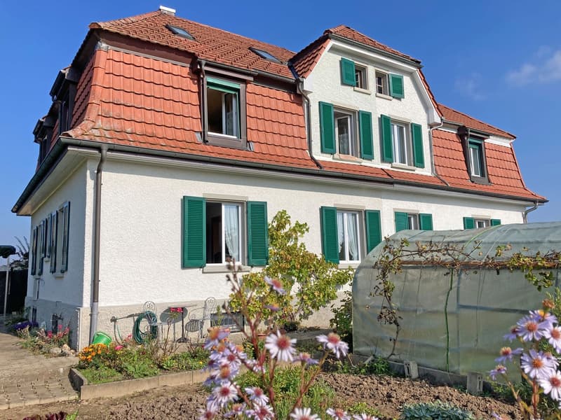 Charmantes Doppeleinfamilienhaus in Dottikon/Villmergen – Historischer Altbau (18)