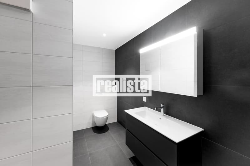 Penthouse de 5.5 pièces neuf et lumineux (5)