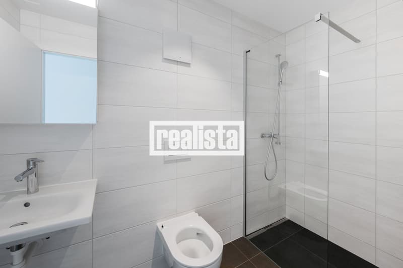 Penthouse de 5.5 pièces neuf et lumineux (9)