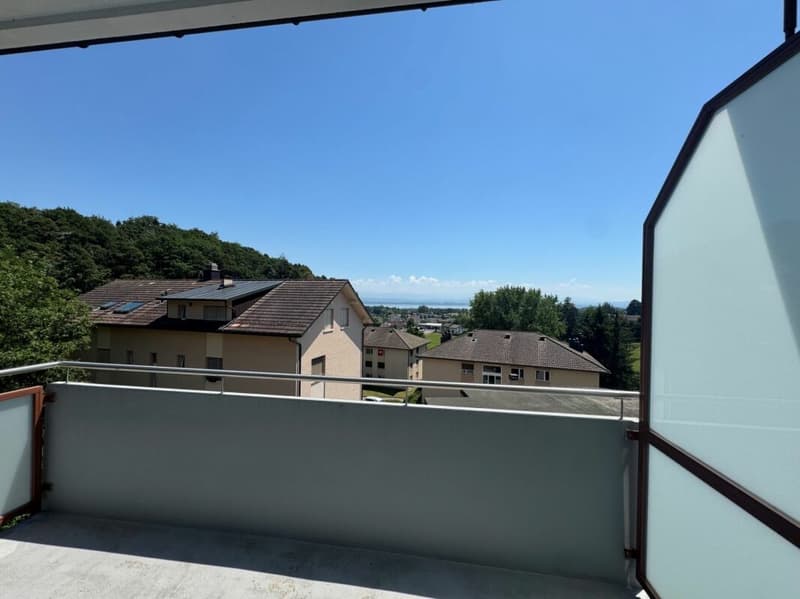 Appartement de 3.5 pièces entièrement rénové au 3ème étage (1)