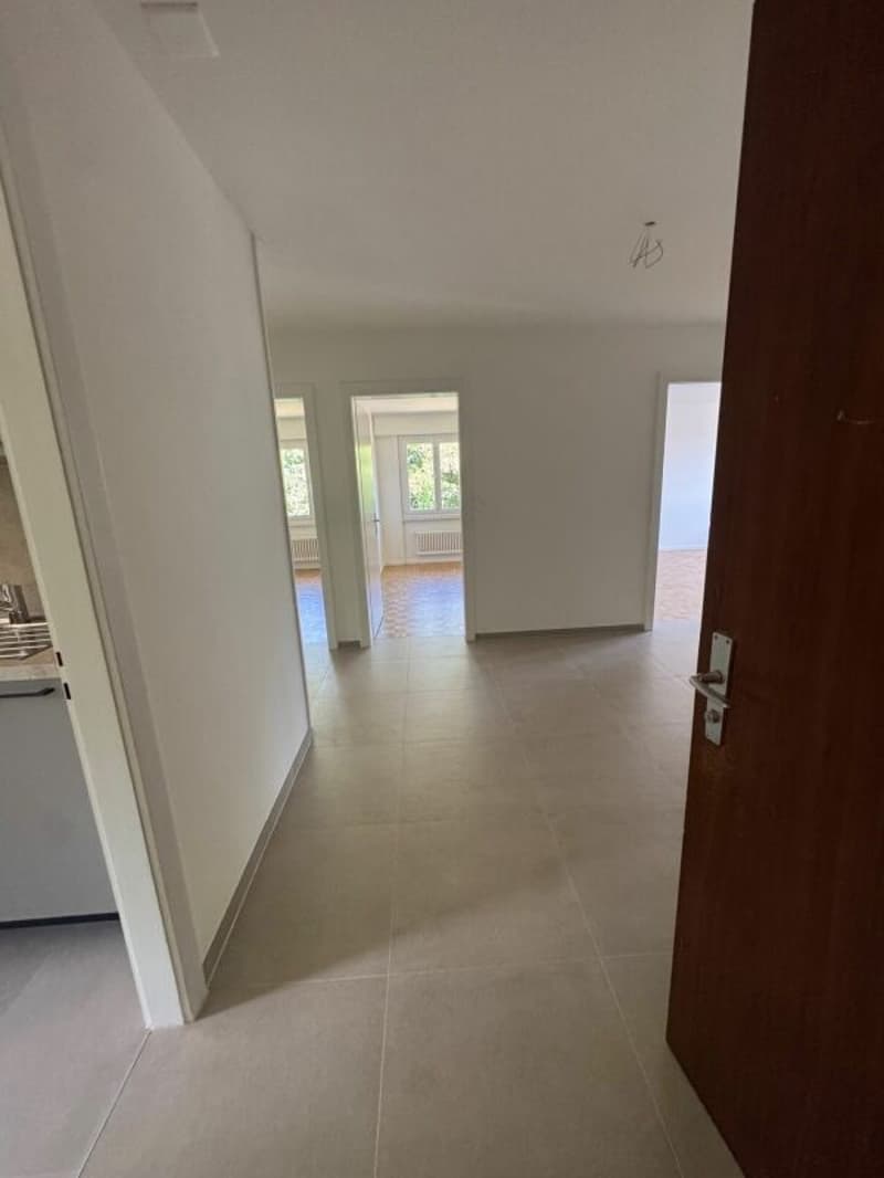 Appartement de 3.5 pièces entièrement rénové au 3ème étage (4)