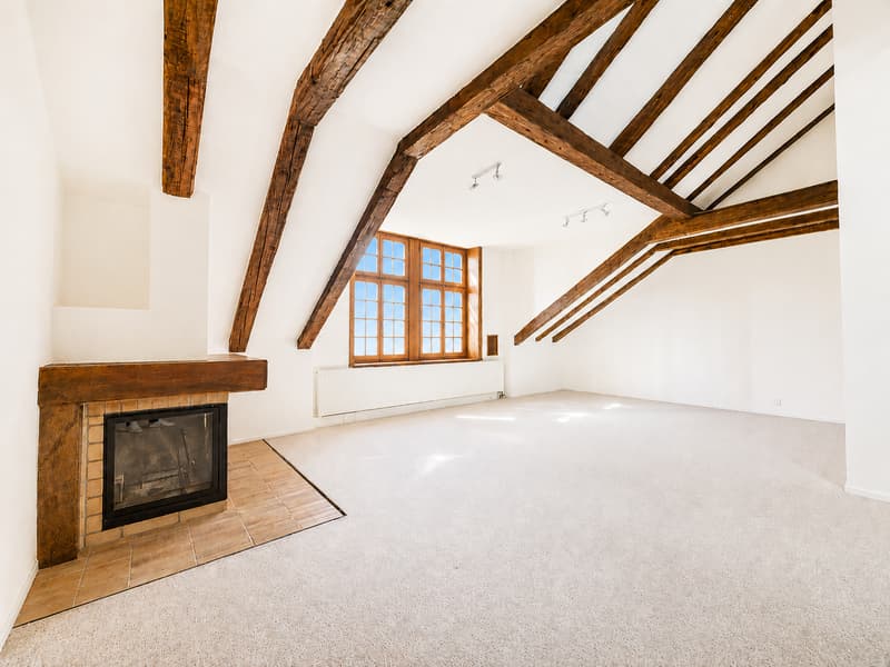 Appartement de 2,5 pièces avec vue (2)