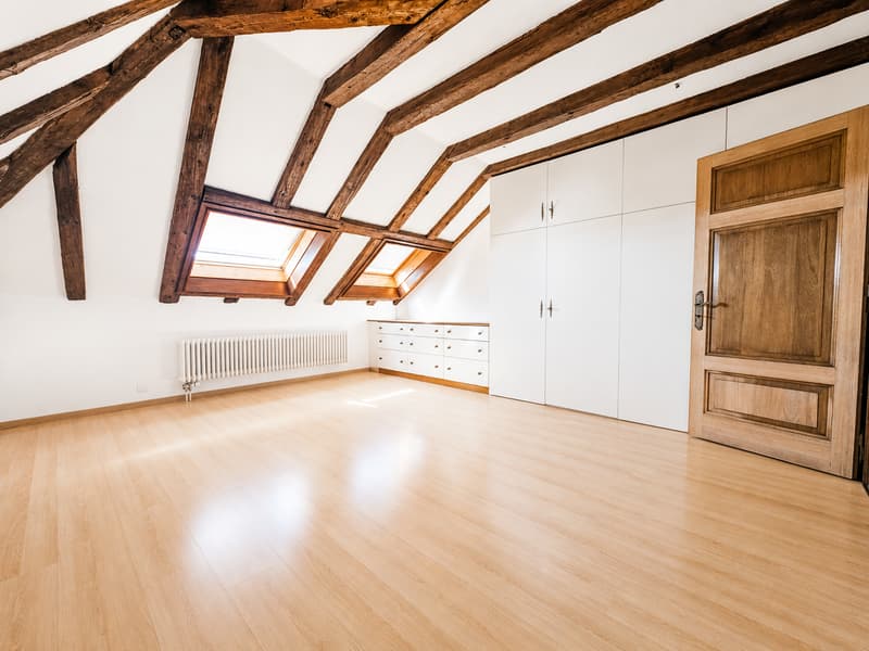 Appartement de 2,5 pièces avec vue (5)