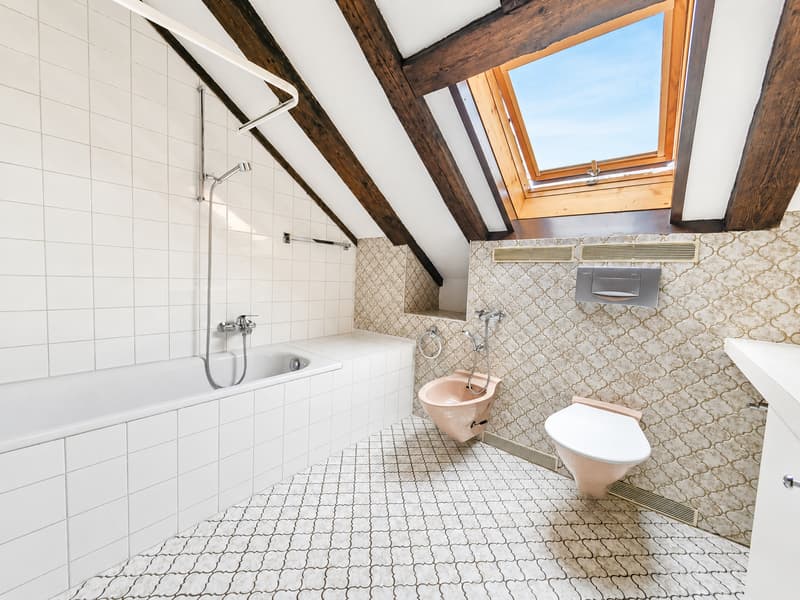 Appartement de 2,5 pièces avec vue (7)