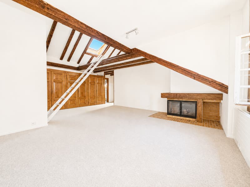 Appartement de 2,5 pièces avec vue (4)
