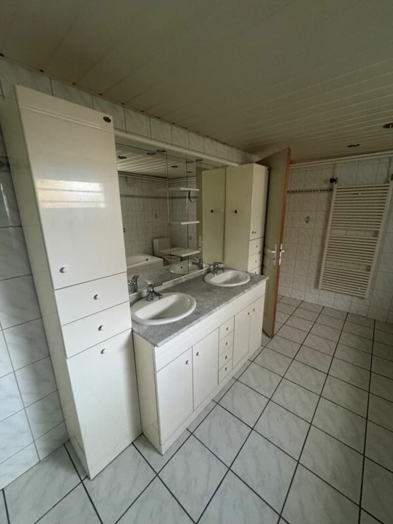 Appartement avec jardin et vue lac (8)