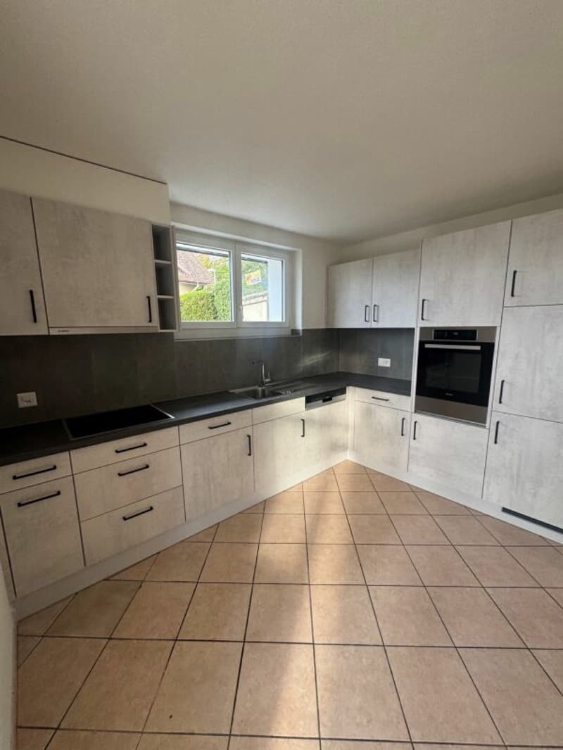 Appartement avec jardin et vue lac (3)