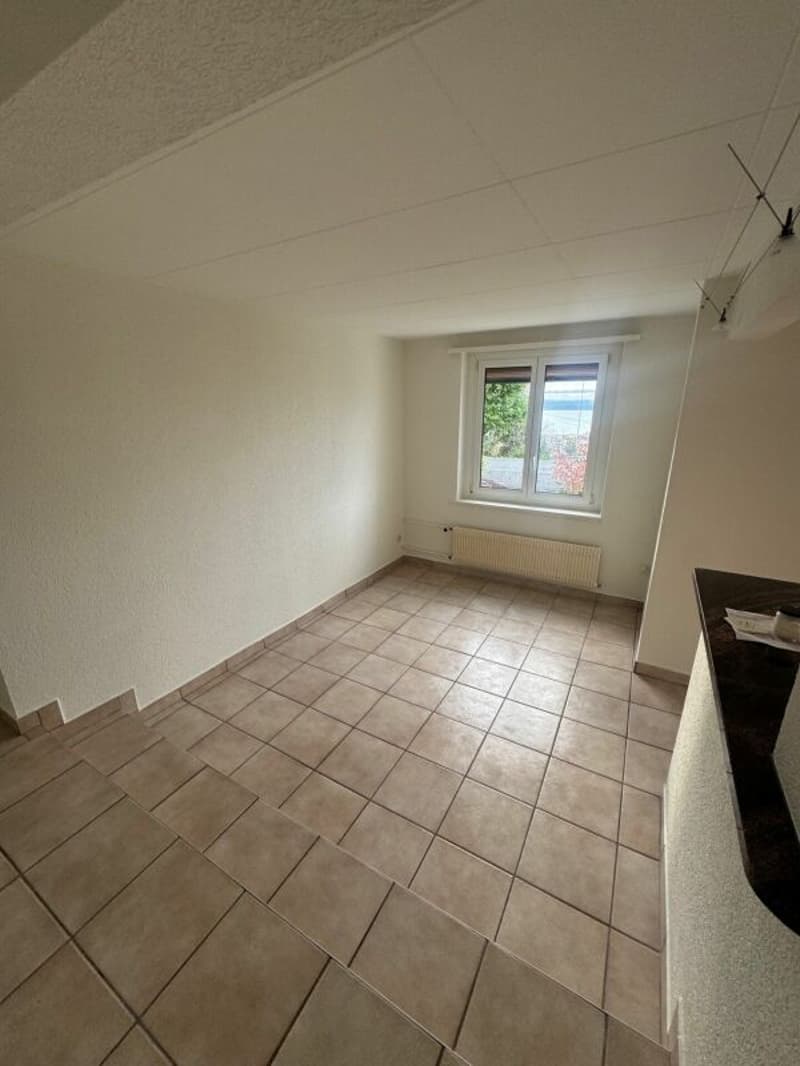 Appartement avec jardin et vue lac (7)