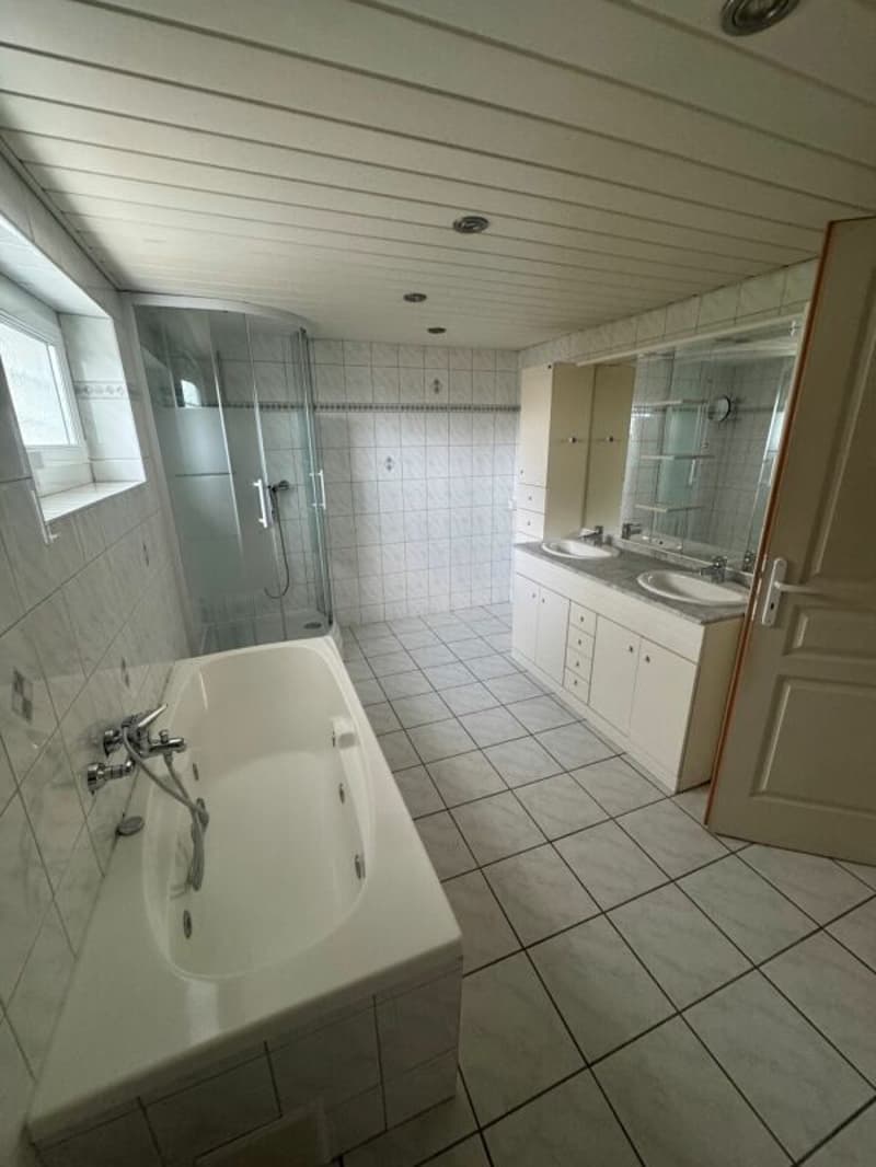 Appartement avec jardin et vue lac (9)