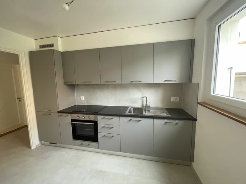 Appartement rénové de 3 pièces (1)