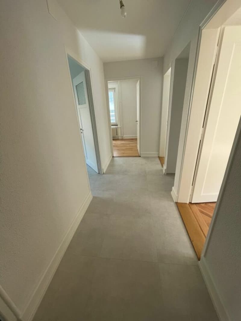 Appartement rénové de 3 pièces (4)