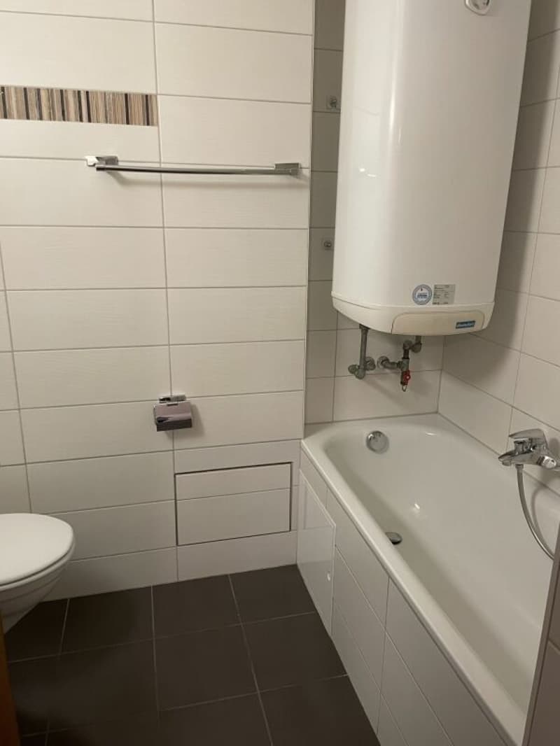 Studio lumineux avec vue à Neuchâtel (4)