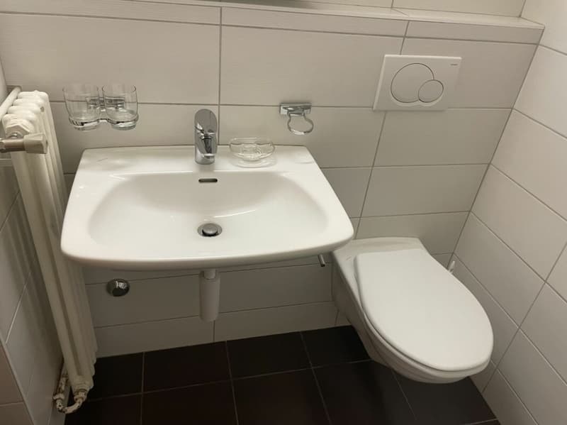Studio lumineux avec vue à Neuchâtel (5)