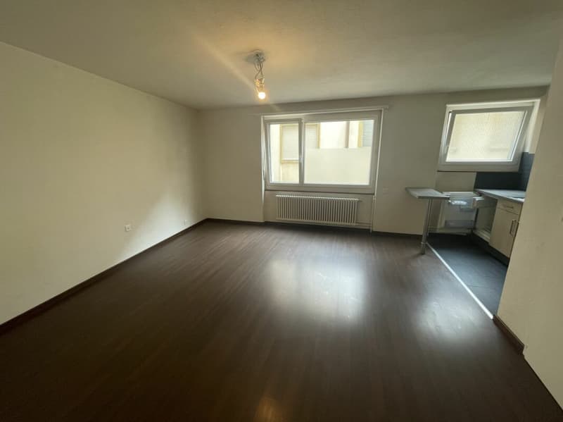 Studio lumineux avec vue à Neuchâtel (1)