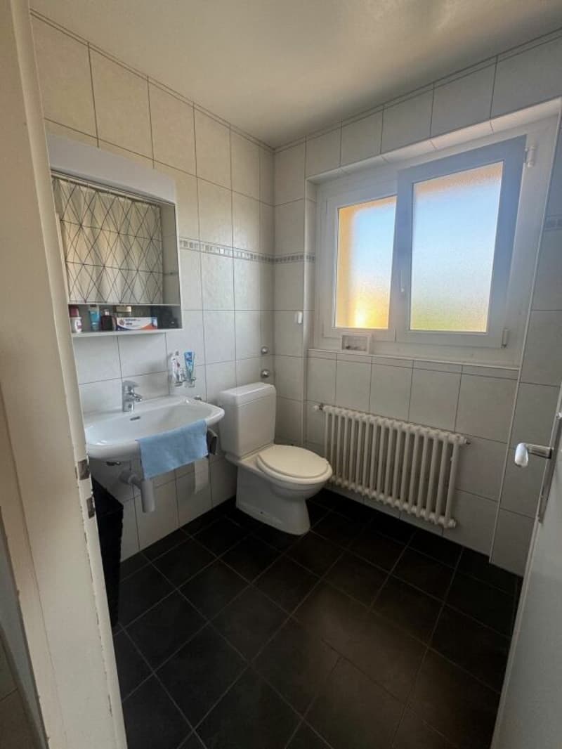 Appartement de 3 pièces (10)