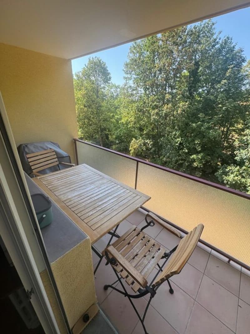 Appartement de 3 pièces (9)