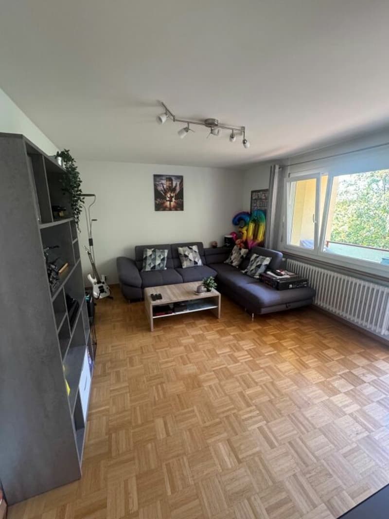 Appartement de 3 pièces (7)