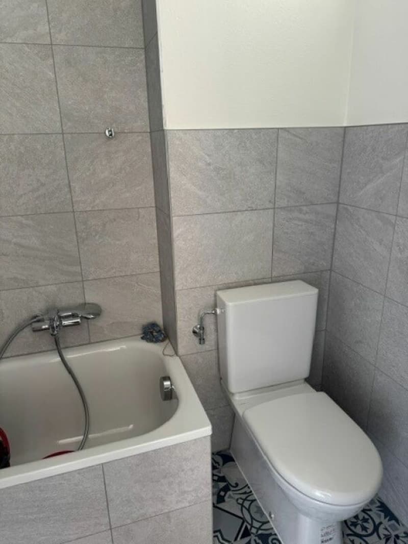 Appartement entièrement rénové (4)