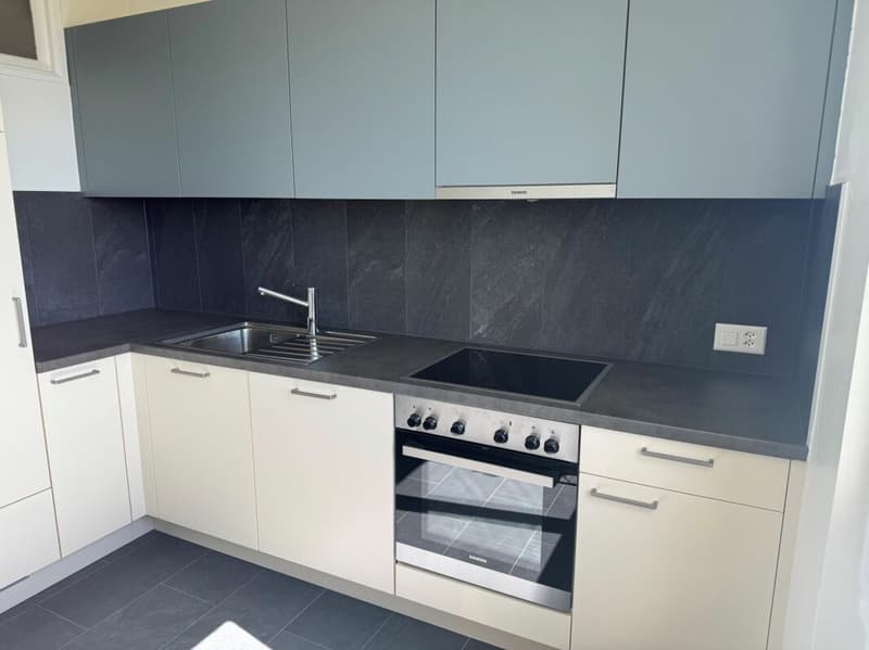Appartement entièrement rénové (2)