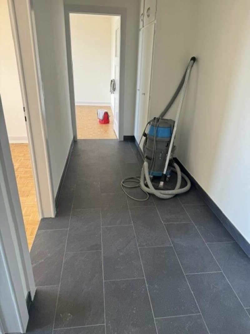 Appartement entièrement rénové (7)