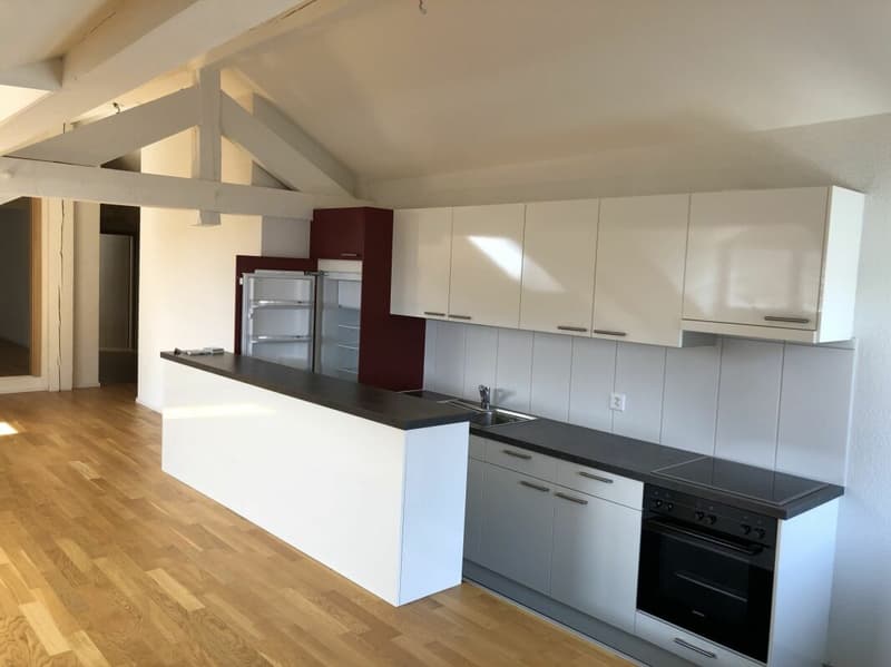 Appartement de 4.5 pièces avec cachet (1)