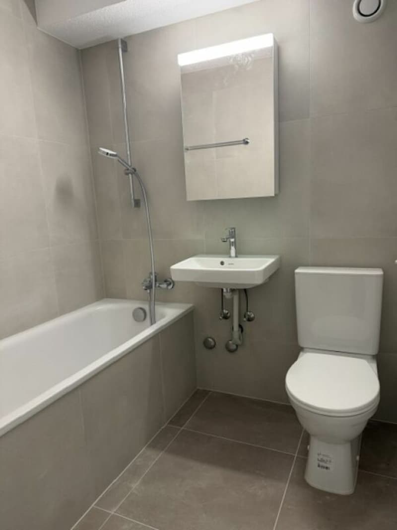 Appartement de 1.5 pièces (1)