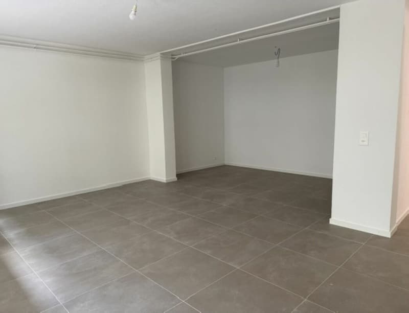 Appartement de 1.5 pièces (5)