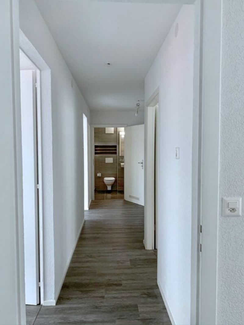 Spacieux appartement de 4.5 pièces (6)
