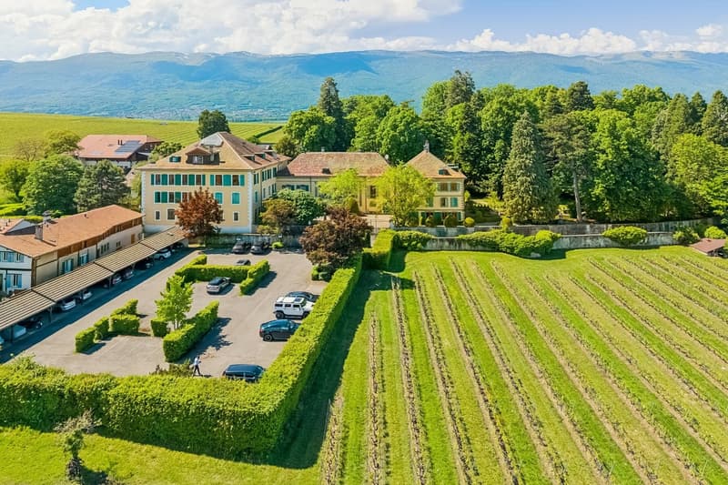 Château Barillet, Appartement en Rez-de-Jardin - L'élégance d'un lieu (4)