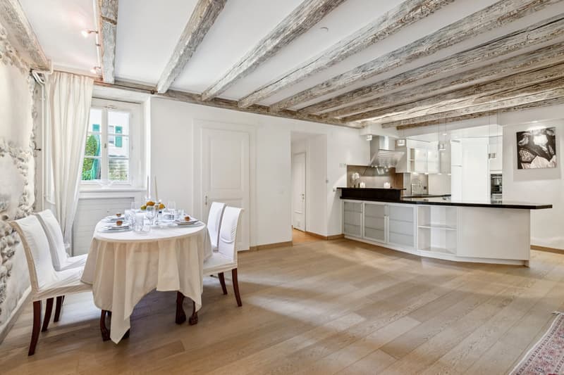 Château Barillet, Appartement en Rez-de-Jardin - L'élégance d'un lieu (2)