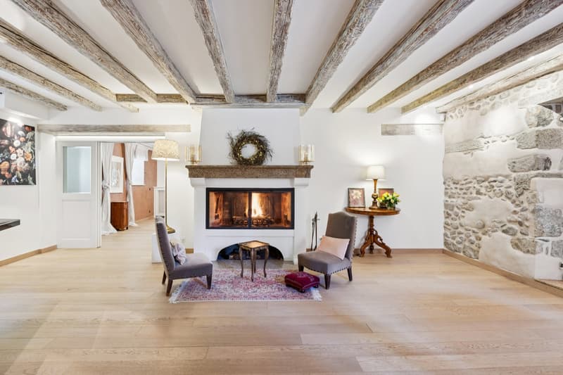 Château Barillet, Appartement en Rez-de-Jardin - L'élégance d'un lieu (5)
