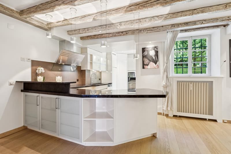 Château Barillet, Appartement en Rez-de-Jardin - L'élégance d'un lieu (3)