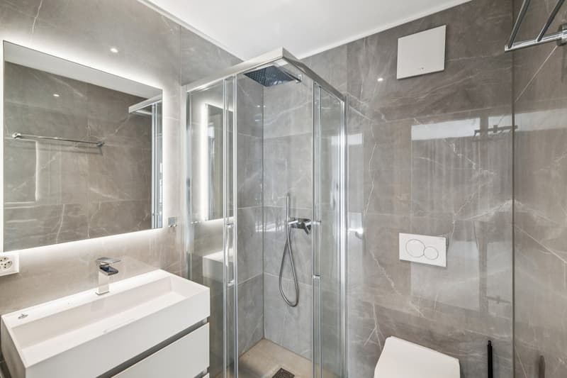 Appartement 4.5 pièces récent et moderne (9)