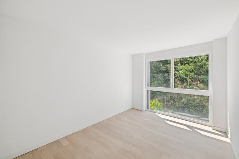 Appartement 4.5 pièces récent et moderne (6)