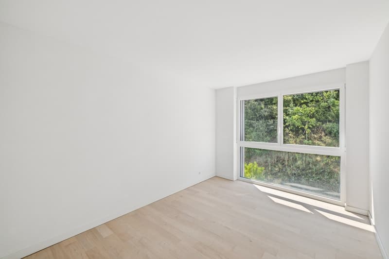 Appartement 4.5 pièces récent et moderne (6)