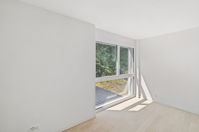 Appartement 4.5 pièces récent et moderne (7)