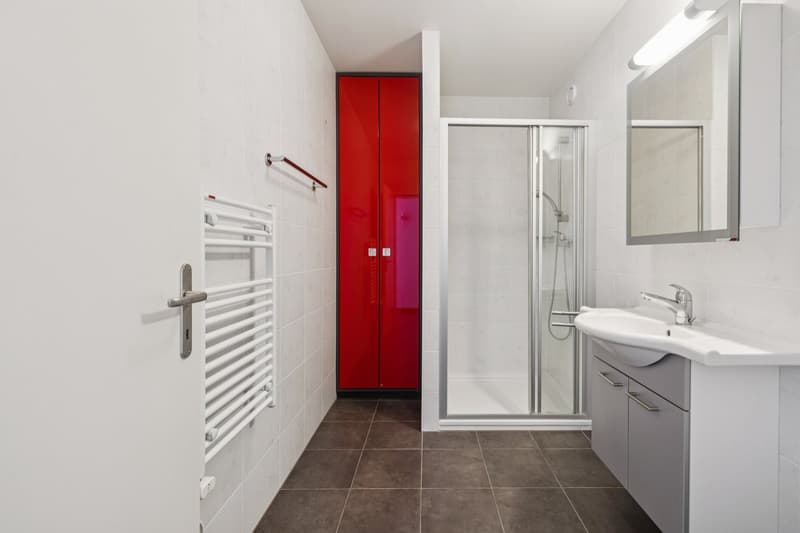 Exclusivité - Une adresse privilégiée au coeur de Vésenaz (10)