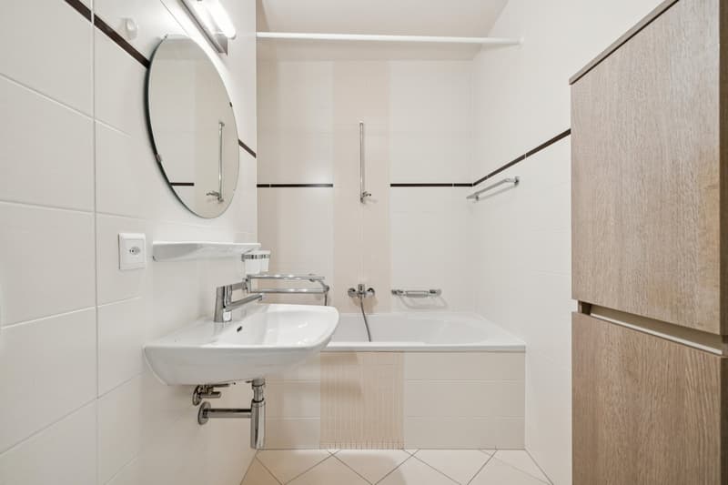 EXCLUSIVITE - CAROUGE - 144 M² DE LUMIÈRE ET D'ESPACE POUR TOUTE LA FA (7)