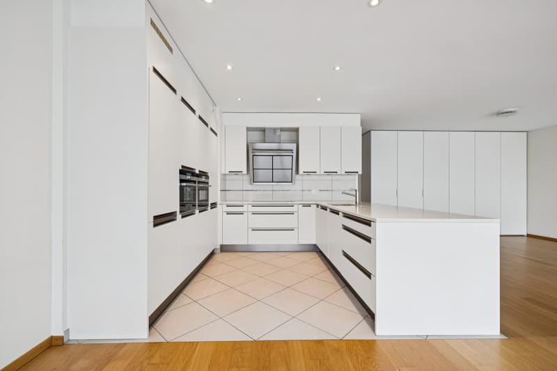 EXCLUSIVITE - CAROUGE - 144 M² DE LUMIÈRE ET D'ESPACE POUR TOUTE LA FA (5)