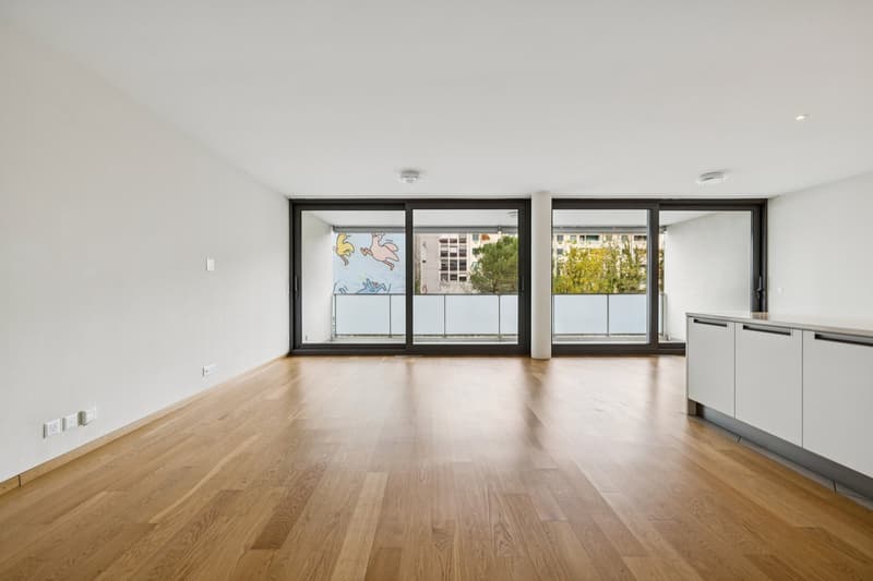 EXCLUSIVITE - CAROUGE - 144 M² DE LUMIÈRE ET D'ESPACE POUR TOUTE LA FA (3)