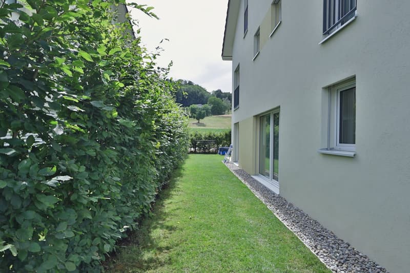 Modernes 6.5-Zimmer-Reihenendhaus mit 146 m2 Garten in Waltenschwil (2)