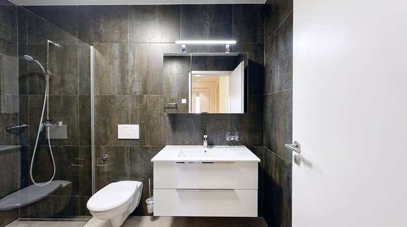 Lichtdurchflutete 2.5 Zimmer-Wohnung im Erdgeschoss sofort verfügbar (5)