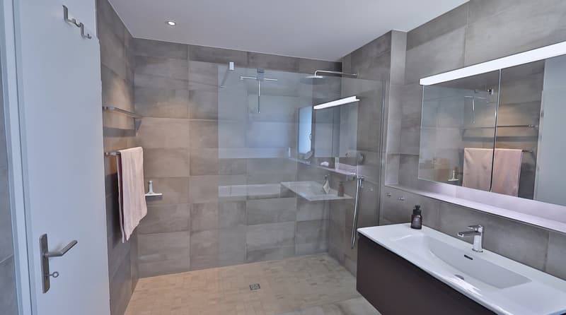 "Dis neue Dihei"  3.5 Zimmer-Wohnung in Waltenschwil (5)
