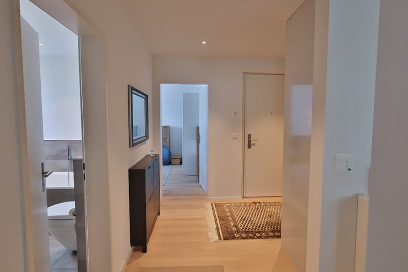 "Dis neue Dihei"  3.5 Zimmer-Wohnung in Waltenschwil (9)