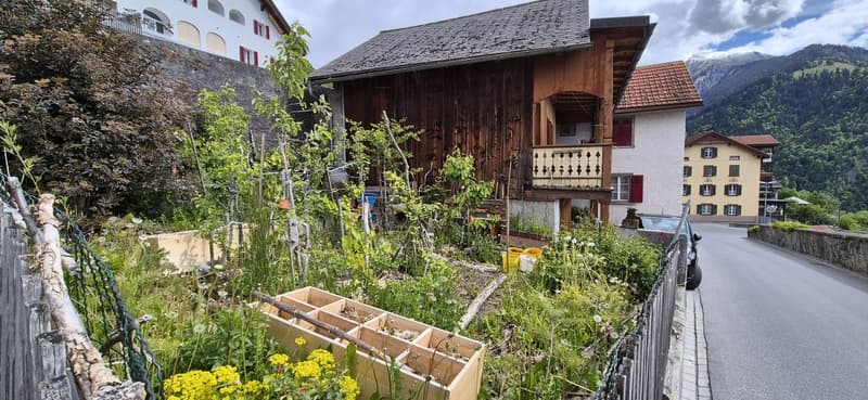 IDYLLISCHES ZUHAUSE MIT STALL UND VIEL POTENZIAL (22)