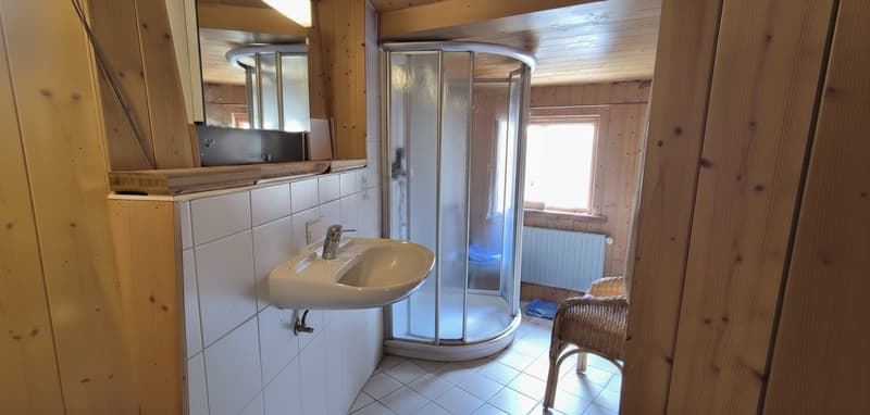 IDYLLISCHES ZUHAUSE MIT STALL UND VIEL POTENZIAL (9)