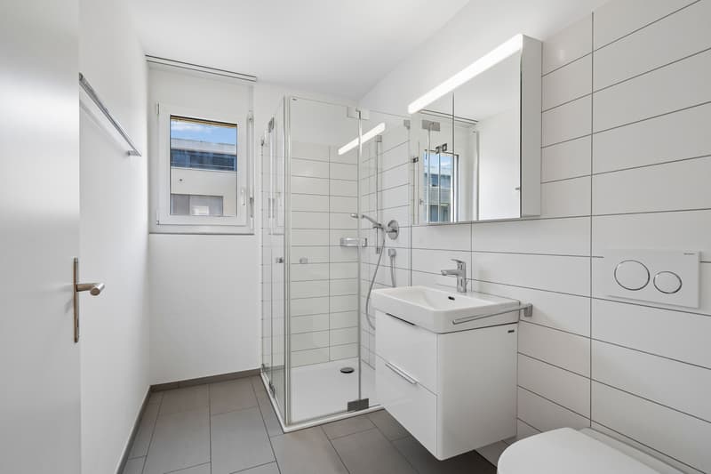 4.5-Zimmer-Wohnung mit Balkon in Birr kaufen (8)