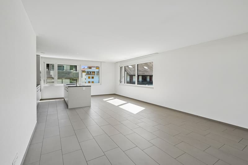 4.5-Zimmer-Wohnung mit Balkon in Birr kaufen (3)