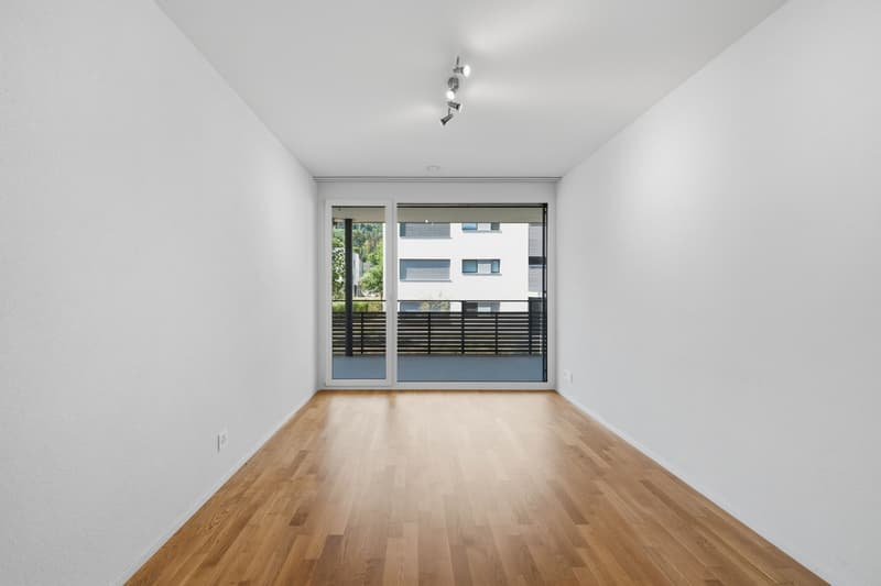 4.5-Zimmer-Wohnung mit Balkon in Birr kaufen (4)