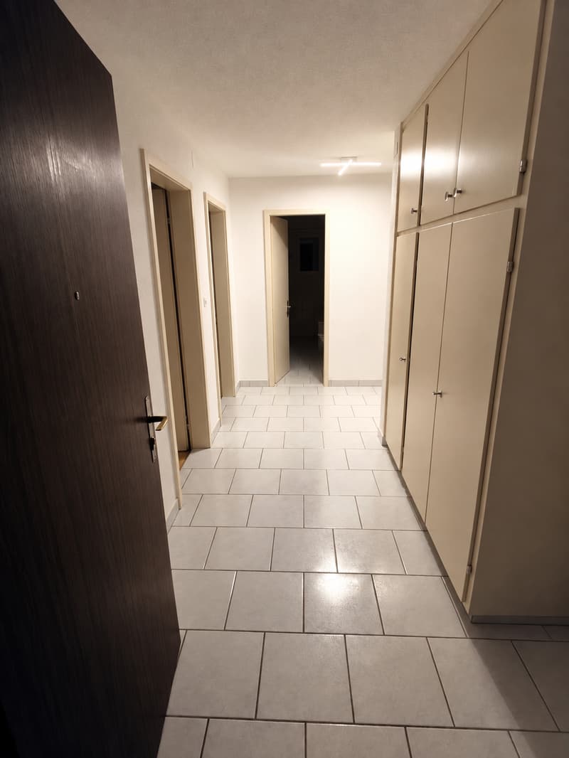 Helle 3-Zimmer-Wohnung mit Balkon in Boswil – ab sofort verfügbar (4)